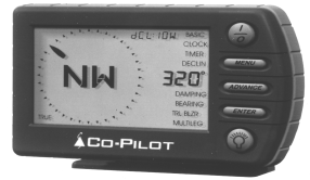 Co-pilot digital compass